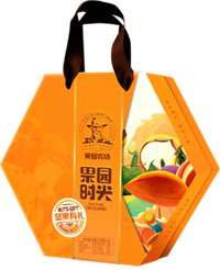 果園時(shí)光 干果禮盒